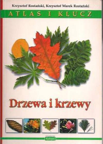 Krzysztof Rostafiński, Krzysztof Marek Rostafiński - Drzewa i krzewy. Atlas i klucz