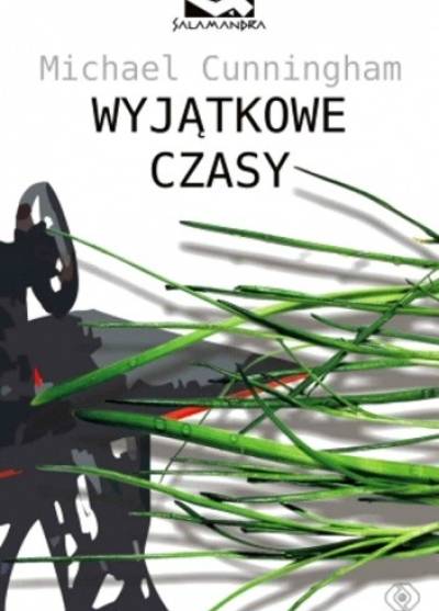 Michael Cunningham - Wyjątkowe czasy