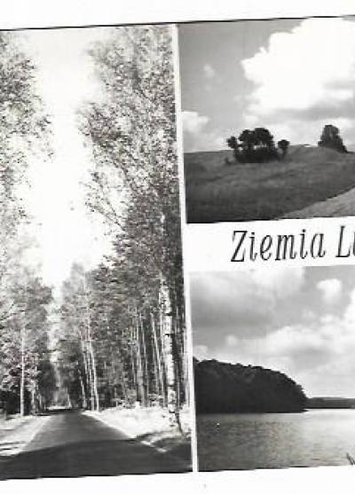 Ziemia Lubuska. Krajobraz (mozaika, 1969)