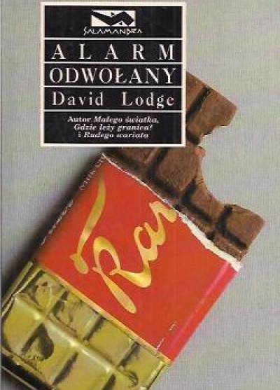 David Lodge - Alarm odwołany