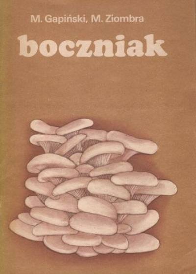 M.Gapiński, M.Ziombra - Boczniak