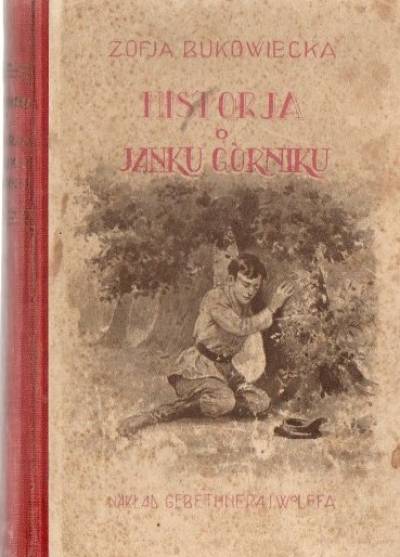 Zofja Bukowiecka - Historja o Janku górniku. Opowiadanie dla młodzieży