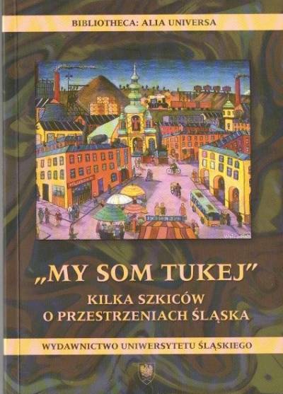 bior. - My som tukej. Kilka szkiców o przestrzeniach Śląska