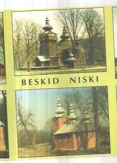 fot. M. Paszkowski - Beskid Niski. Cerkwie: Kwiatoń, Hańczowa, Klimkówka, pod górą Jawor, Blechnarka, Wysowa (kaplica zdroj.) (1996)