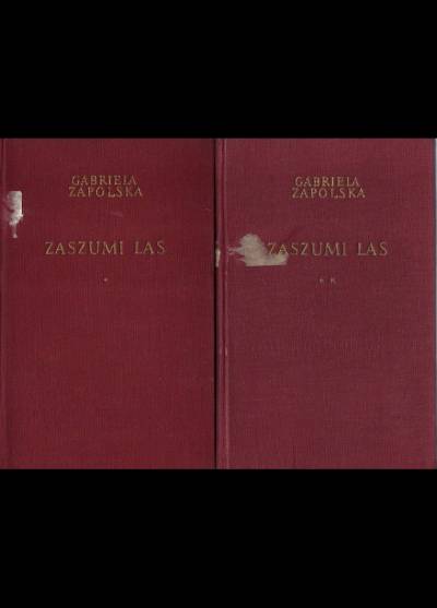 Gabriela Zapolska - Zaszumi las