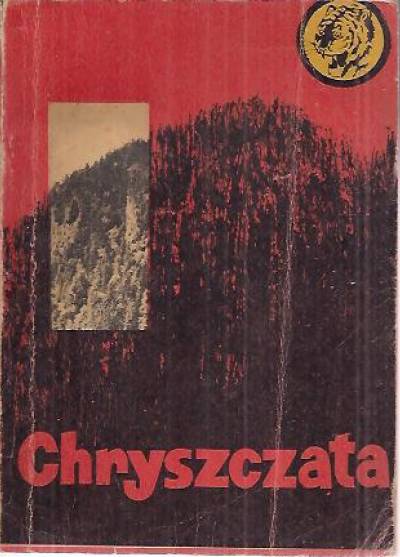 Kazimierz Sławiński - Chryszczata (żółty tygrys)