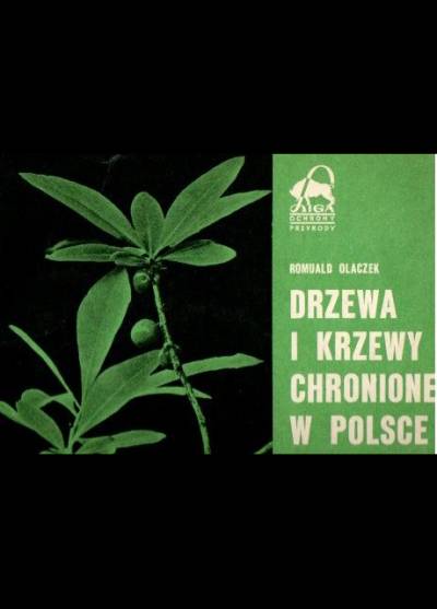 R. Olaczek - Drzewa i krzewy chronione w POlsce