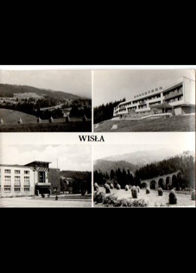 Wisła - mozaika